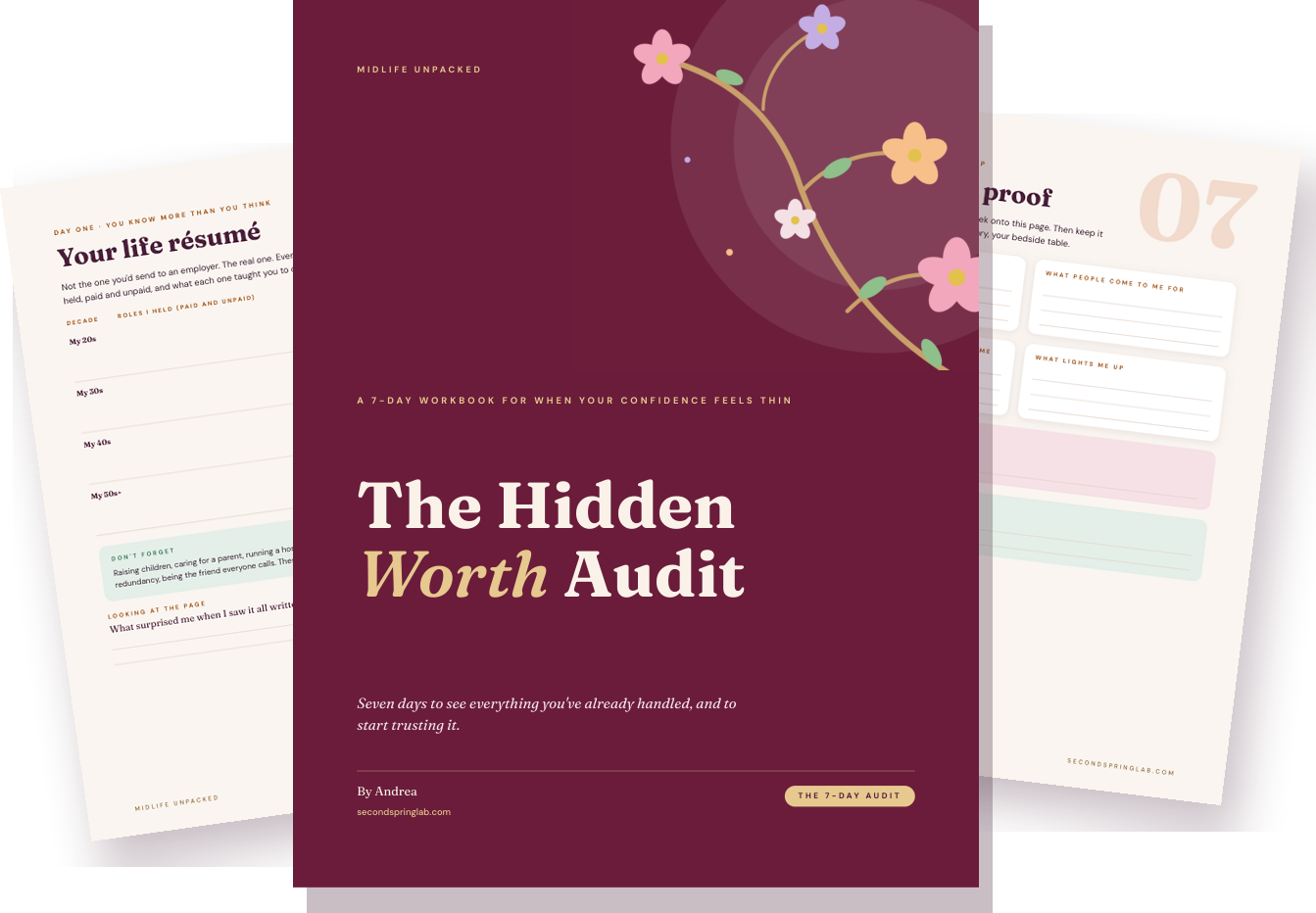 The Hidden Worth Audit workbook cover with two inside pages